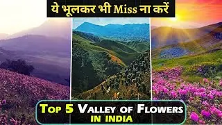 5 Most Beautiful Valley of Flowers in India | In Hindi