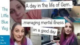 The Little Blue Vlog - A day in the life of Gem!