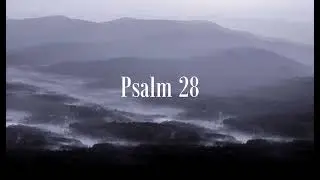 Book Of Psalms 25-32 | Peaceful Scripture reading (KJV)