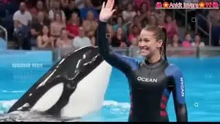 Jessica Redcliffe Orca Attack Full Video । Jessica Dolfin Emotional Viral Full Video । Ankit Inyara 