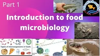 Introduction to food microbiology/bfsc fisheries/science/syllabus/ICAR/JRFNABARD/ibps/microorganisms
