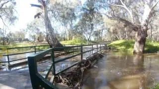 Little Para River, Minor Flooding, Paralowie, South Australia