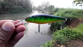 Effective Lure for Black Bass in a Deep Water.