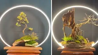 Synthesize ideas for absolutely beautiful bonsai miniatures from professional artists #Love Bonsai