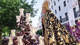 La Soledad de San Buenaventura por Méndez Núñez/Plaza Nueva - Soleá dame la mano
