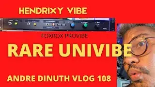 RARE GUITAR EFFECTS RACK! FOXROX PROVIBE! #ANDREDINUTH VLOG 108 (ENGLISH)