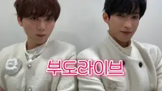 부도라이브