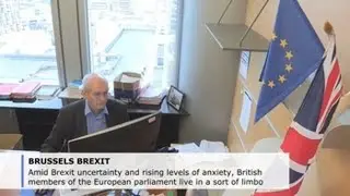 British MEPs work surrounded by removal boxes amid Brexit limbo