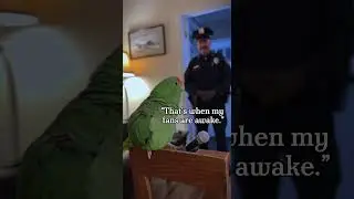 Parrot Defends His 3 A.M. Concert 🎤🦜