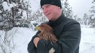 Птицы переселяются в новые вольеры