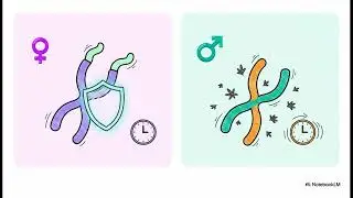 Telomeres Explained: The Anti-Aging Secret Everyone Needs To Know To  Slow Down Aging
