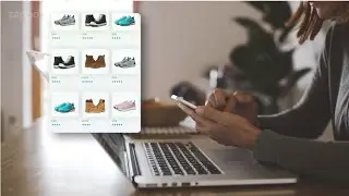 Zappos at Work Overview