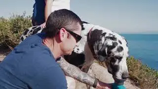Leak Proof Dog Water Bottle Hydration System - Coolest Birthday Gifts For Pet Lovers