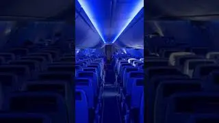 Southwest Airlines Boeing 737 MAX 8 cabin 😍