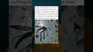 Man In Argentina Finds Giant Mosquito