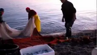 Pesca di sardine. ©Gaetano Gianzi
