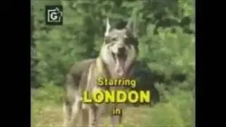 The Littlest Hobo theme song - 