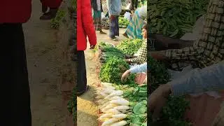 এক গাছে তিন সবজি গাছের নাম কি #shortvideo #ourchannel