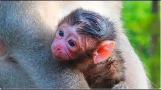 Congratulations Mama Gladis Just Gave Birth To Baby Moment