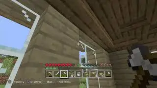 Solo survival