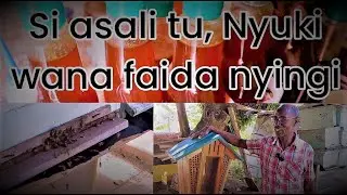BMG TV: Jinsi ya kufuga nyuki kwa faida