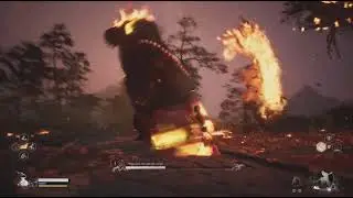 Black Myth: Wukong - Boss Fight