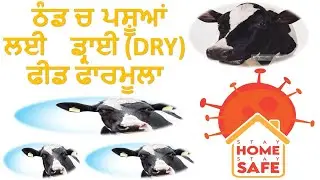 Thand Me Pashu ke Liya Dry Feed Formula #dryfeed,#feedformula,#cattlefeed