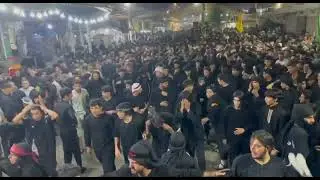الاستعراض الموحد مجاميع  || موكب السلطان  الحسيني  ذكرى شهاده الامام الحسن العسكري (عليه السلام )