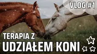 Konferencja: Terapia z udziałem KONI! Vlog #1