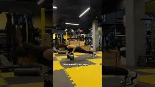 Работа до мышечного отказа. Каков ваш предел?