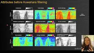 Seismic Reflection Interpretation 3-6 Filtering for Enhancement of Seismic Attributes