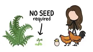 Seeds or Plants, Which Came first? | Science Minute