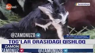 Сариосиё тумани 