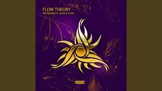Flow Theory