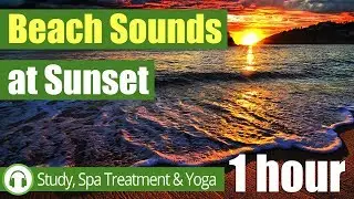 Beach Sounds at Night (1 hour) 🎧 Ambient Evening Beach Sounds