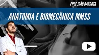 Aulão de Anatomia e Biomecânica dos Membros Superiores