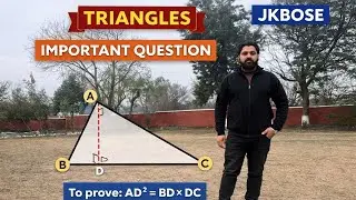 Triangles Chapter | Most Repeated Questions | CBSE & JKBOSE Class 10 | Board Exam Sure Shot