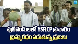 MP Avinash Reddy By-Election Campaign at Pulivendula | YSRCP Satish Kumar Reddy @SakshiTVLIVE