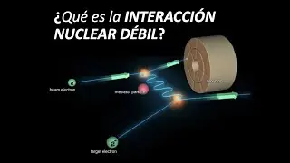 Los LEPTONES y la INTERACCIÓN NUCLEAR DÉBIL...