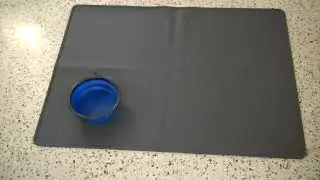 Review: DGitaor waterproof silicon pet feeding mat
