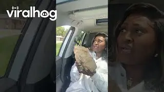 Hungry Ostrich  || ViralHog