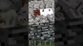 Wolf and chicken explosion #minecraft