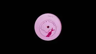 Premiere: Erta Ale - SLN016A1 [Solenoid Records]