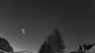 2 of 5 12172025 enhanced edits rods skyfish in our backyard #fredleemh 