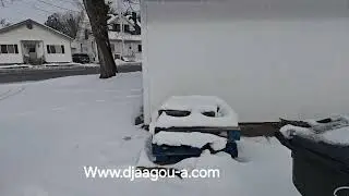 DJAAGOU-A:  International Distribution and service 