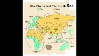 Chai or Tea in different countries around the world#worldmap#chai#tea#india#china#korea#europe#UK#US
