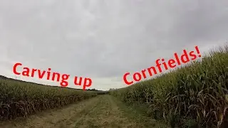 Carving up Cornfields