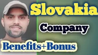 Slovakia company benefits | Slovakia me company kaun kaun se bonus deti hai | Slovakia update