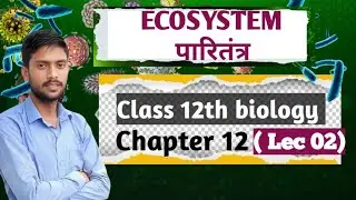 Stratification | स्तर विन्यास |Class 12th Biology Chapter 12 ECOSYSTEM |  class 12 Biology Sagar Sir