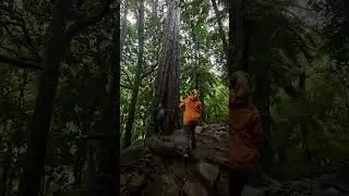 Hiking in the Rain in New Zealand #nzadventure #newzealandadventures  #mountains #adventuretourism